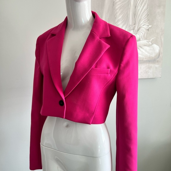 Zara Pink Blazer - Picture 9 of 10